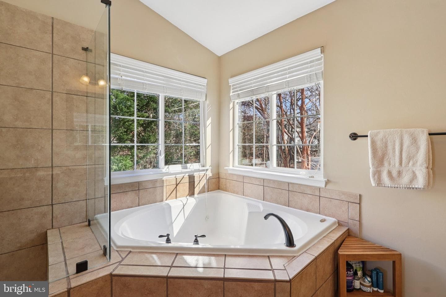 10576 Coral Berry Drive photo 45