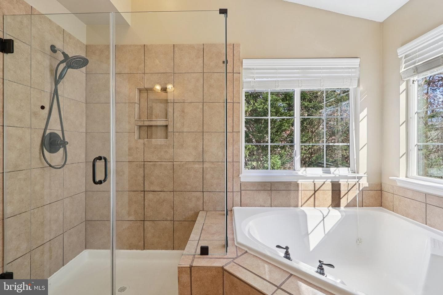 10576 Coral Berry Drive photo 46