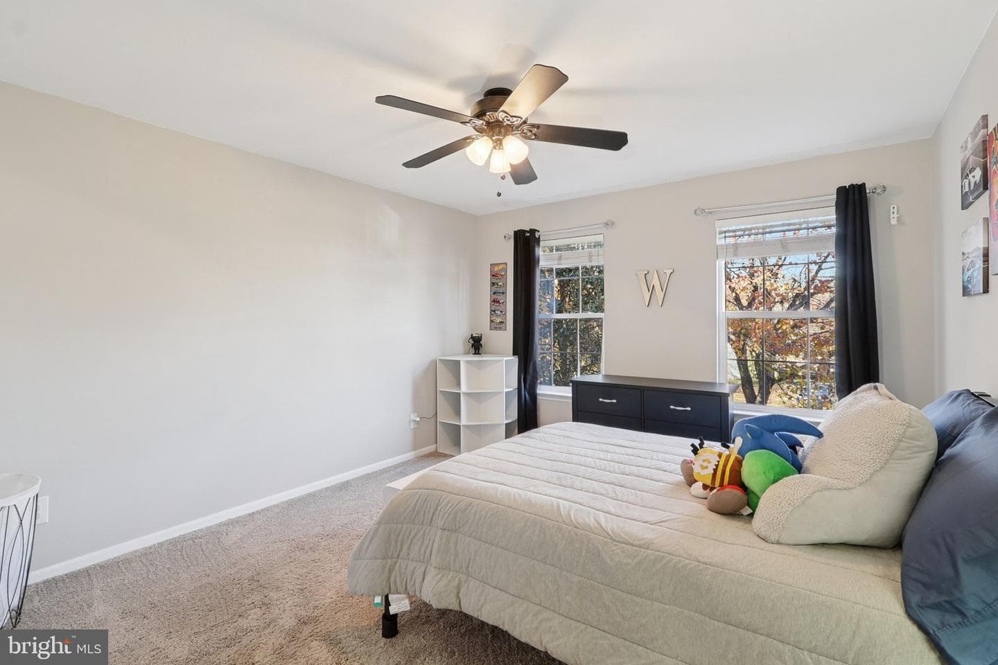 10576 Coral Berry Drive photo 47