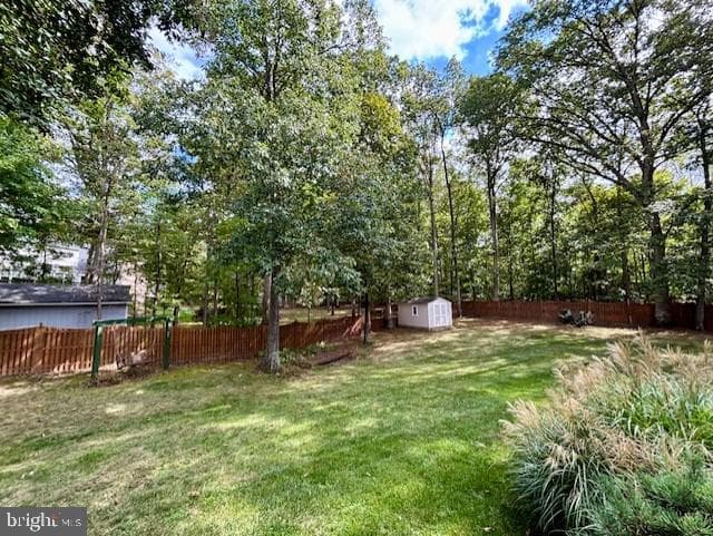 10576 Coral Berry Drive photo 5
