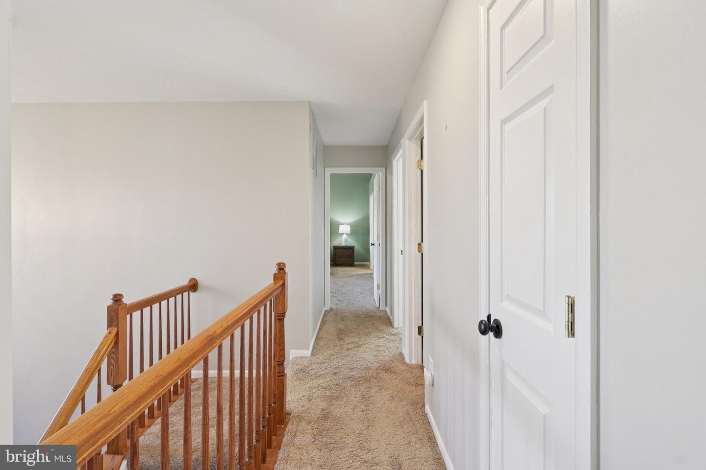 10576 Coral Berry Drive photo 51