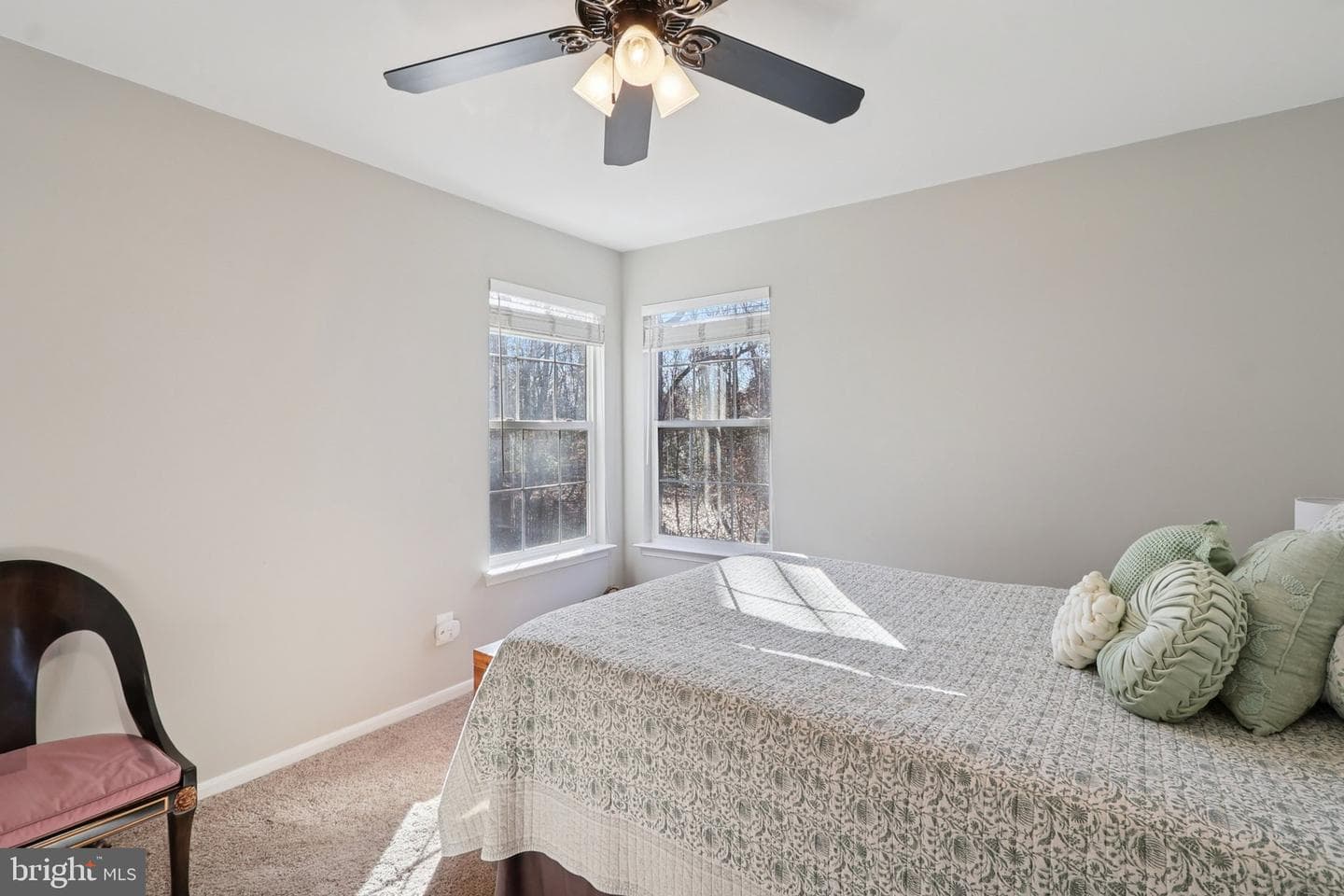 10576 Coral Berry Drive photo 52