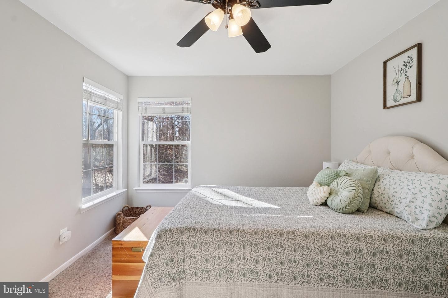 10576 Coral Berry Drive photo 54