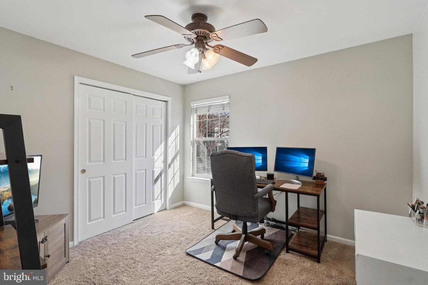 10576 Coral Berry Drive photo 56