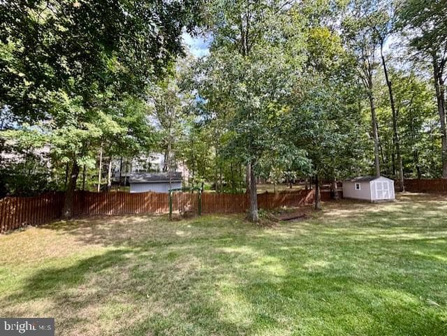 10576 Coral Berry Drive photo 7