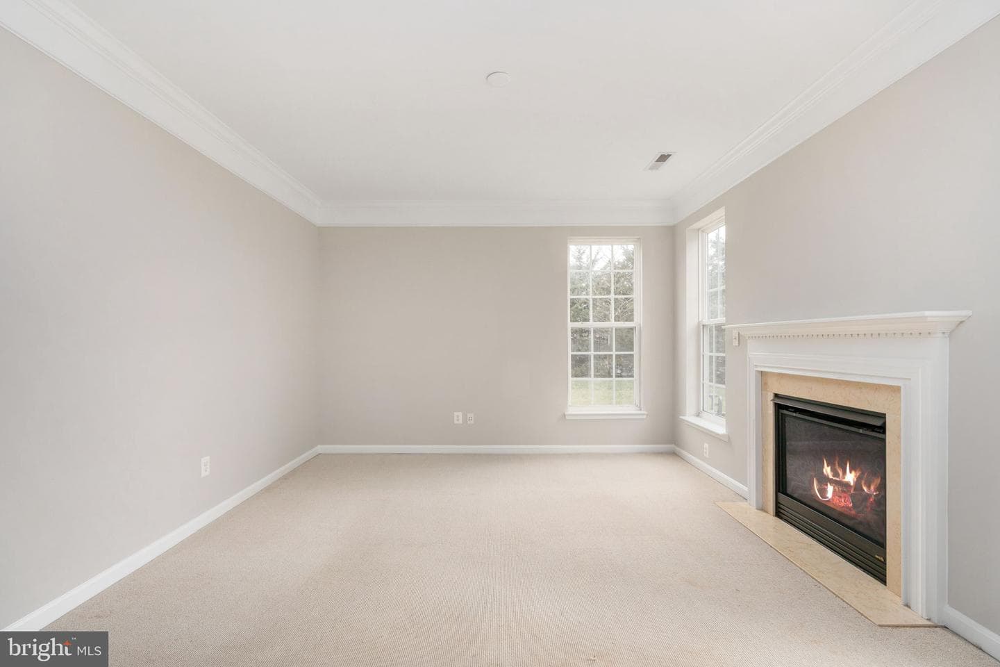 12314 Tanalian Falls Lane photo 25