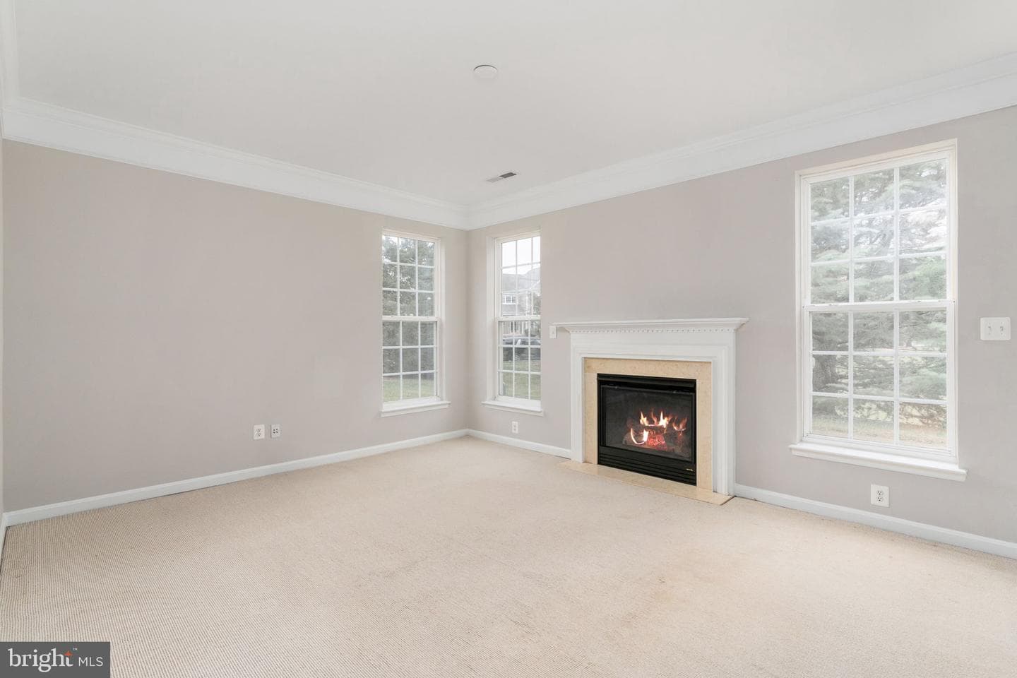 12314 Tanalian Falls Lane photo 26