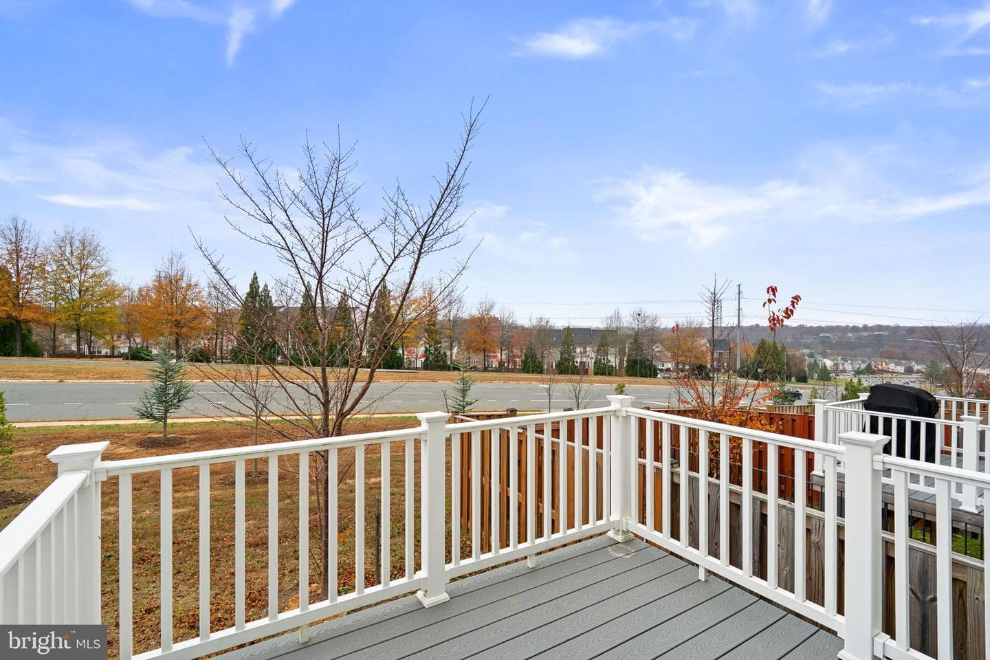 15376 Ballerina Loop photo 41