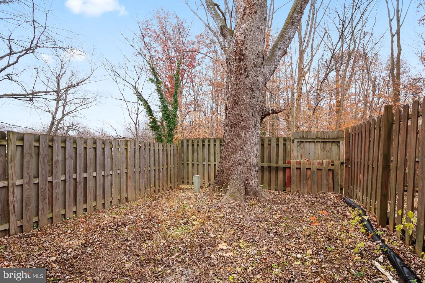14773 Barksdale Street photo 27