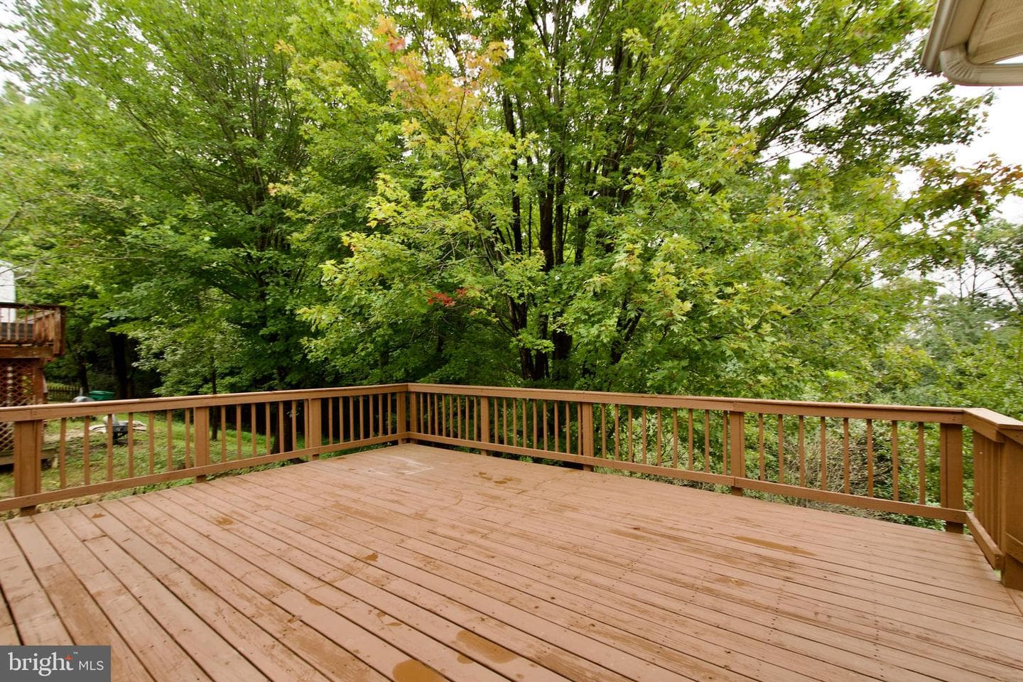15417 Bald Eagle Lane photo 28