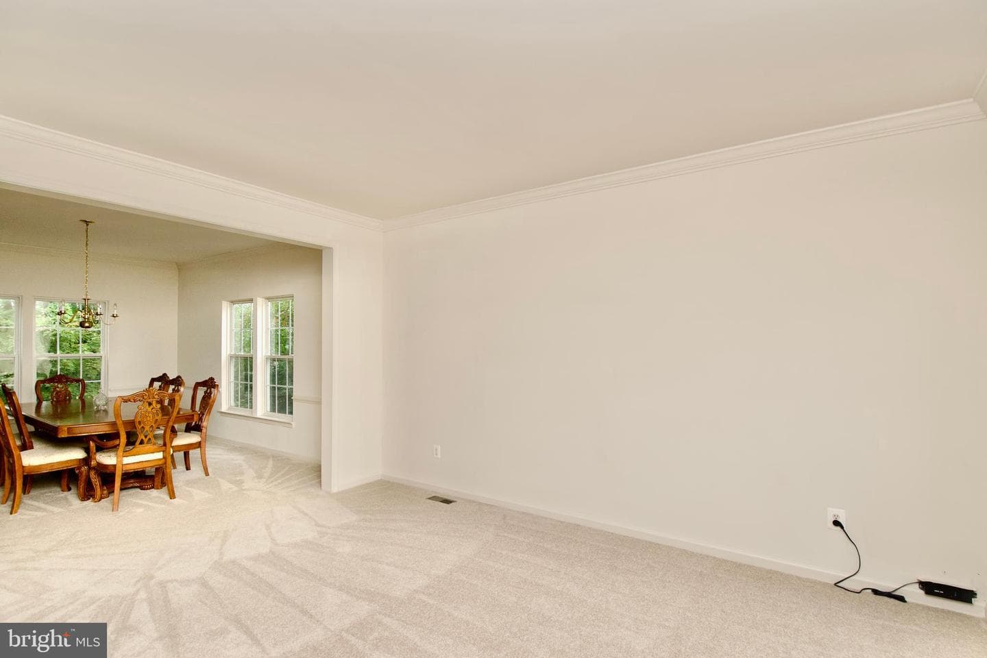 15417 Bald Eagle Lane photo 35