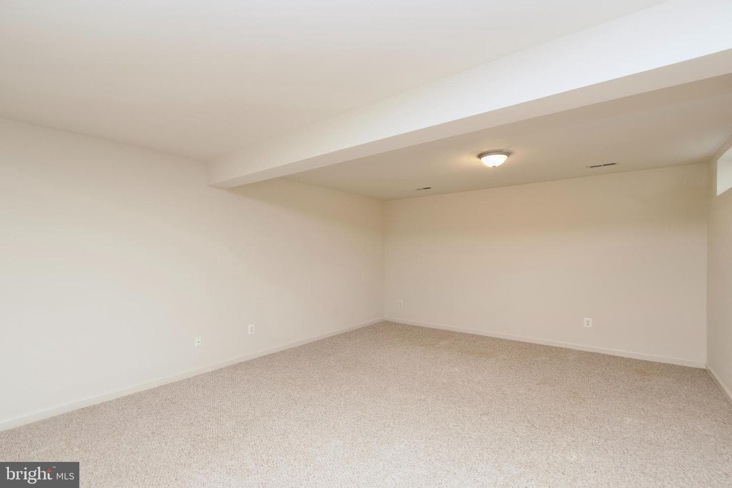 15417 Bald Eagle Lane photo 44