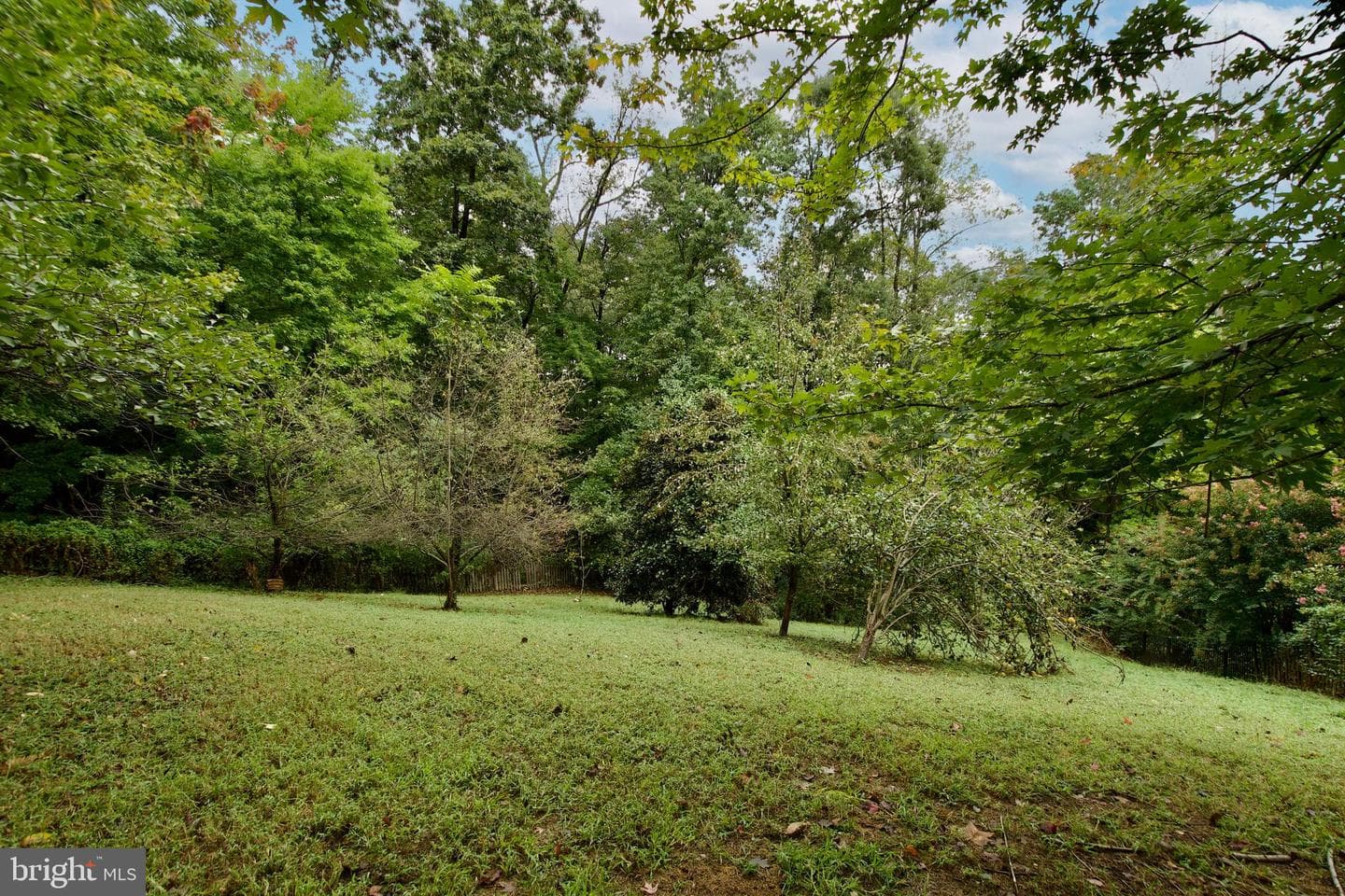 15417 Bald Eagle Lane photo 48