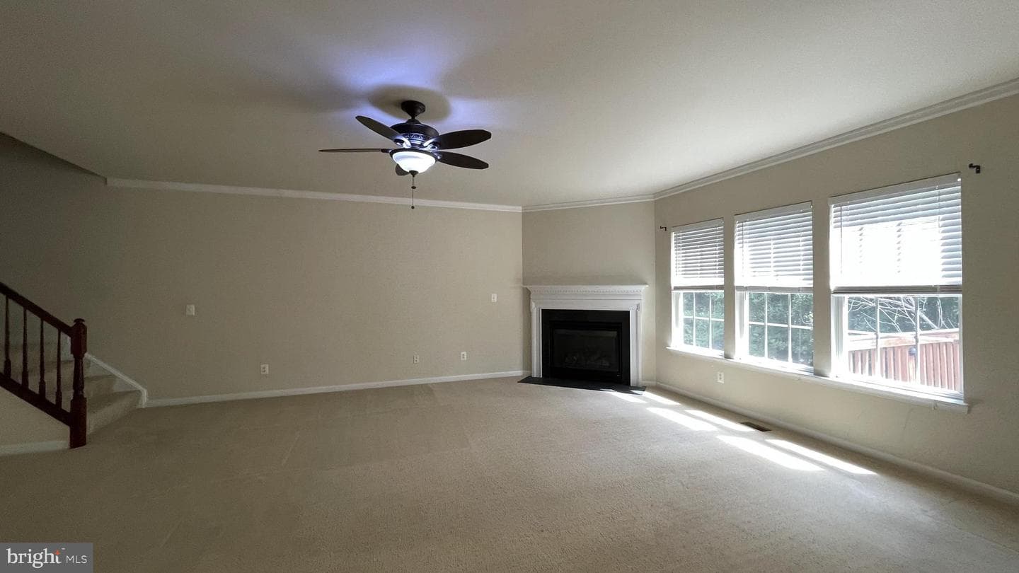 12437 Pfitzner Court photo 20