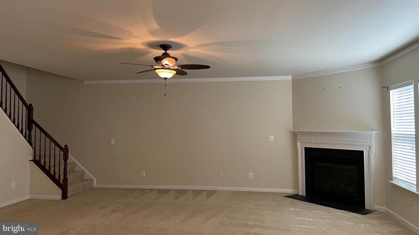 12437 Pfitzner Court photo 21