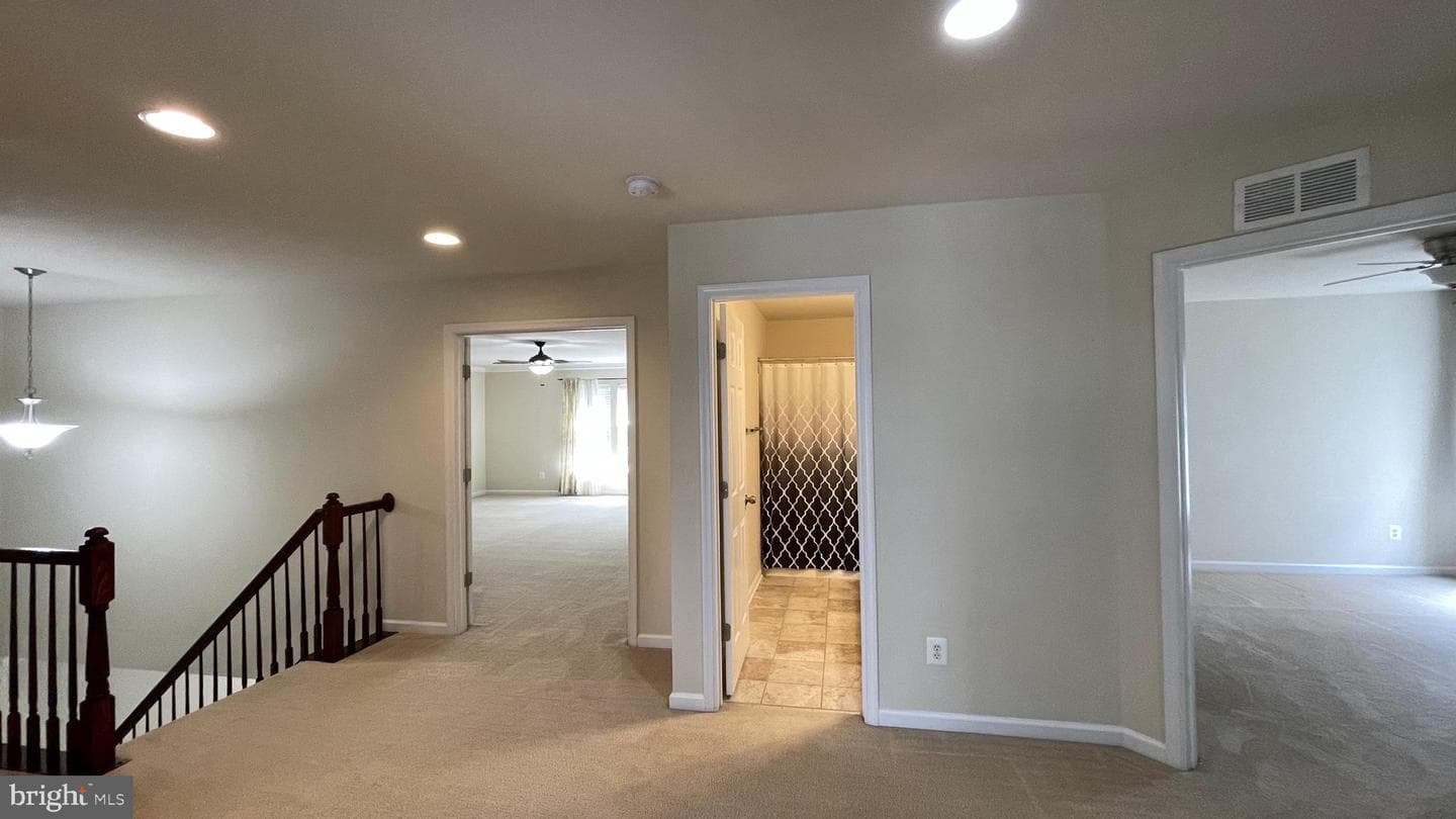 12437 Pfitzner Court photo 22