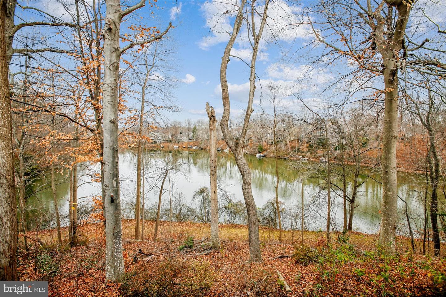 15745 Widewater Drive photo 2