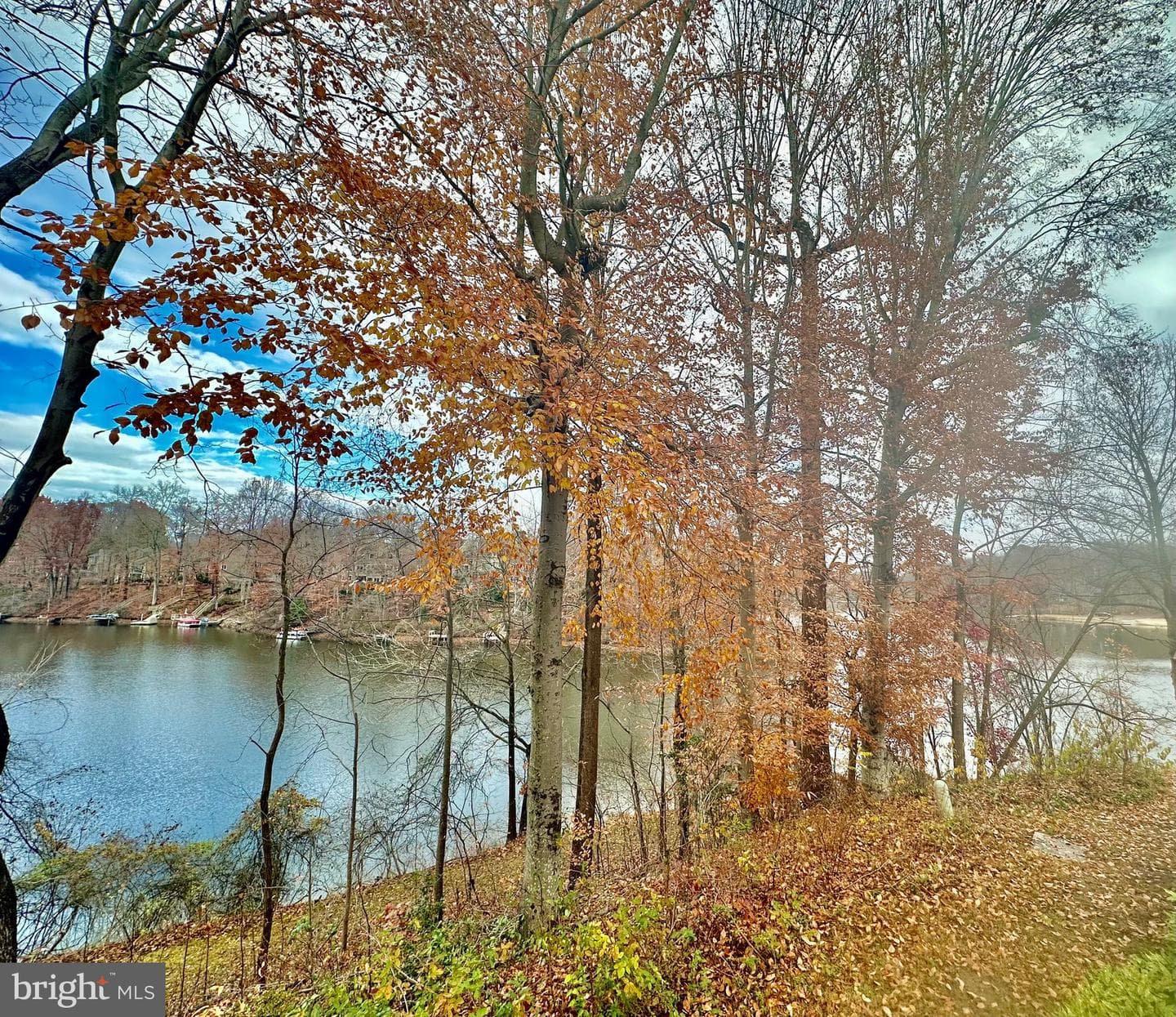15745 Widewater Drive photo 4