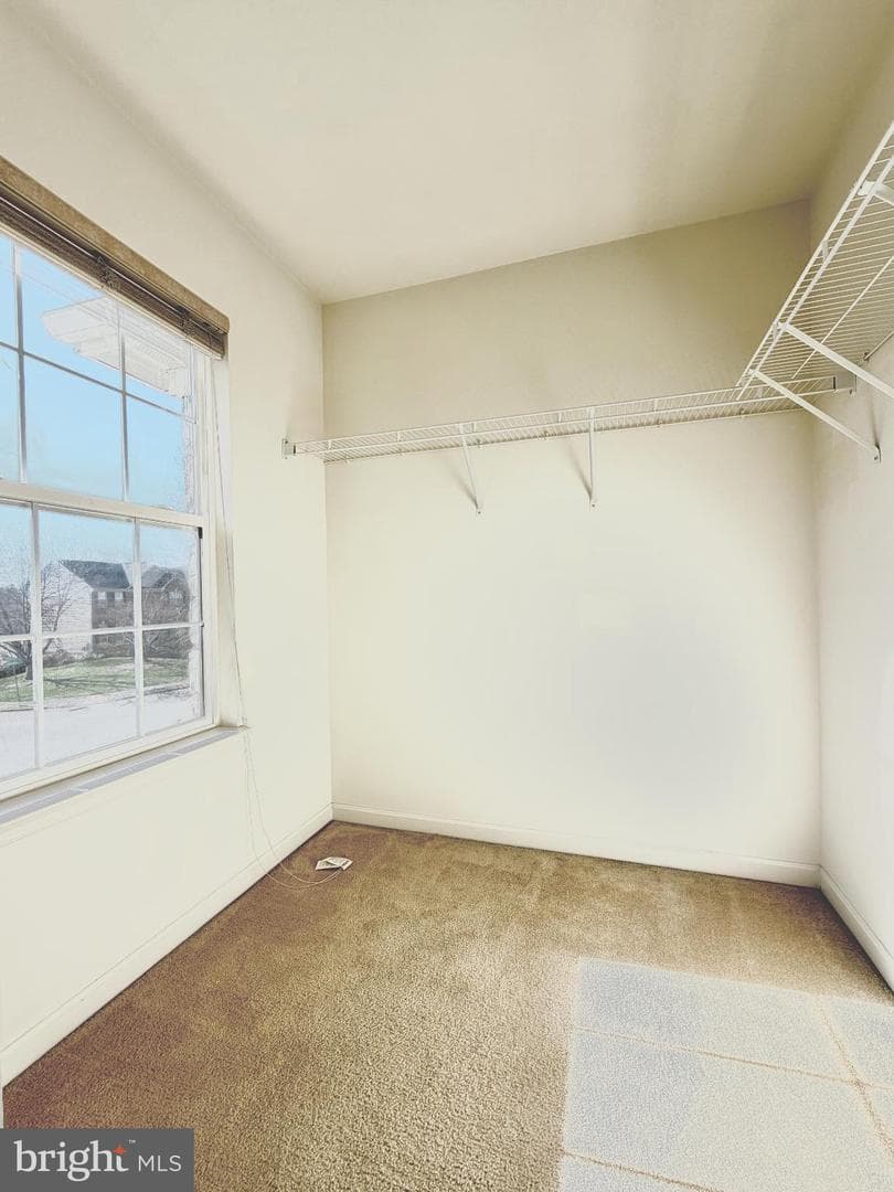 8420 Summer Breeze Place photo 29