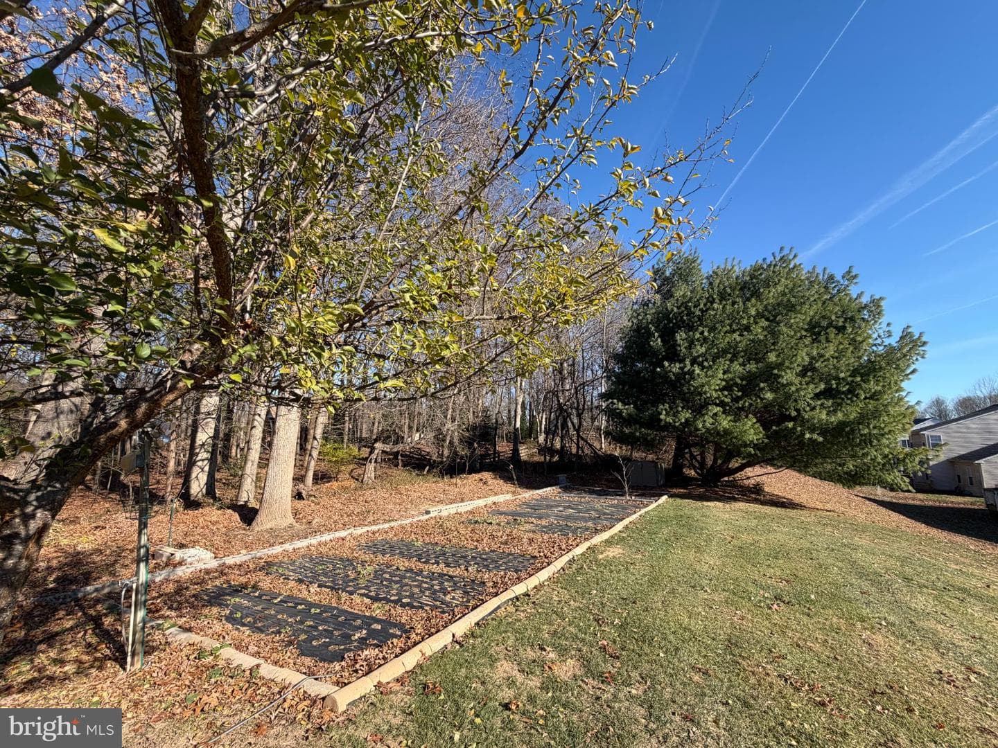 8420 Summer Breeze Place photo 51