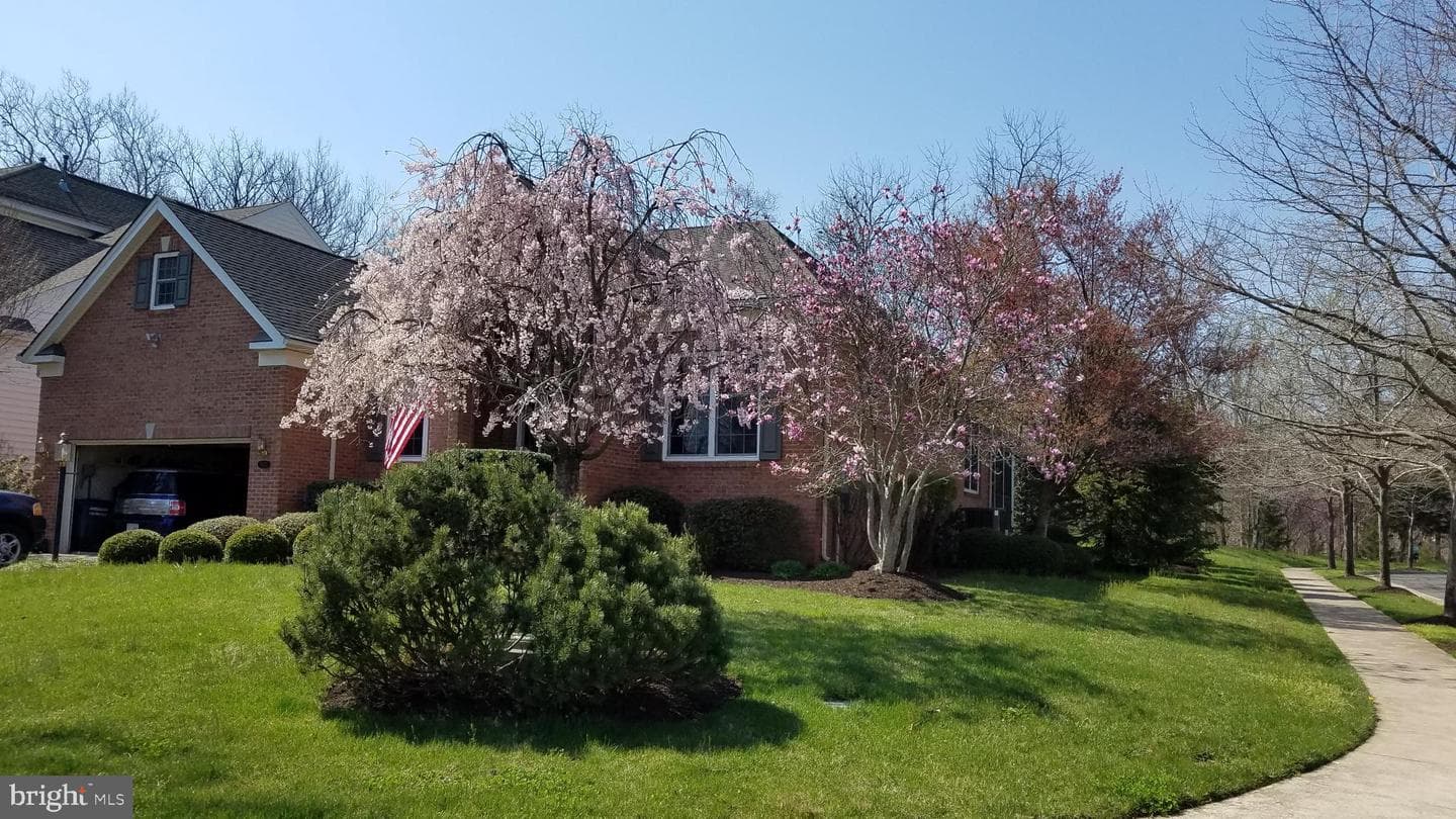 5272 Antioch Ridge Drive photo 12