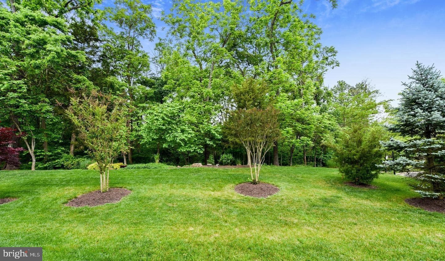 5272 Antioch Ridge Drive photo 13