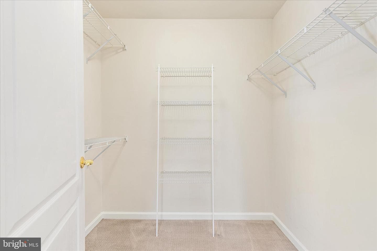 15831 Fourmile Creek Court photo 23