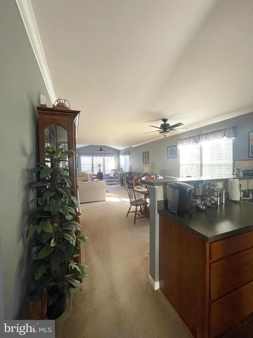 3704 Russett Maple Court photo 2