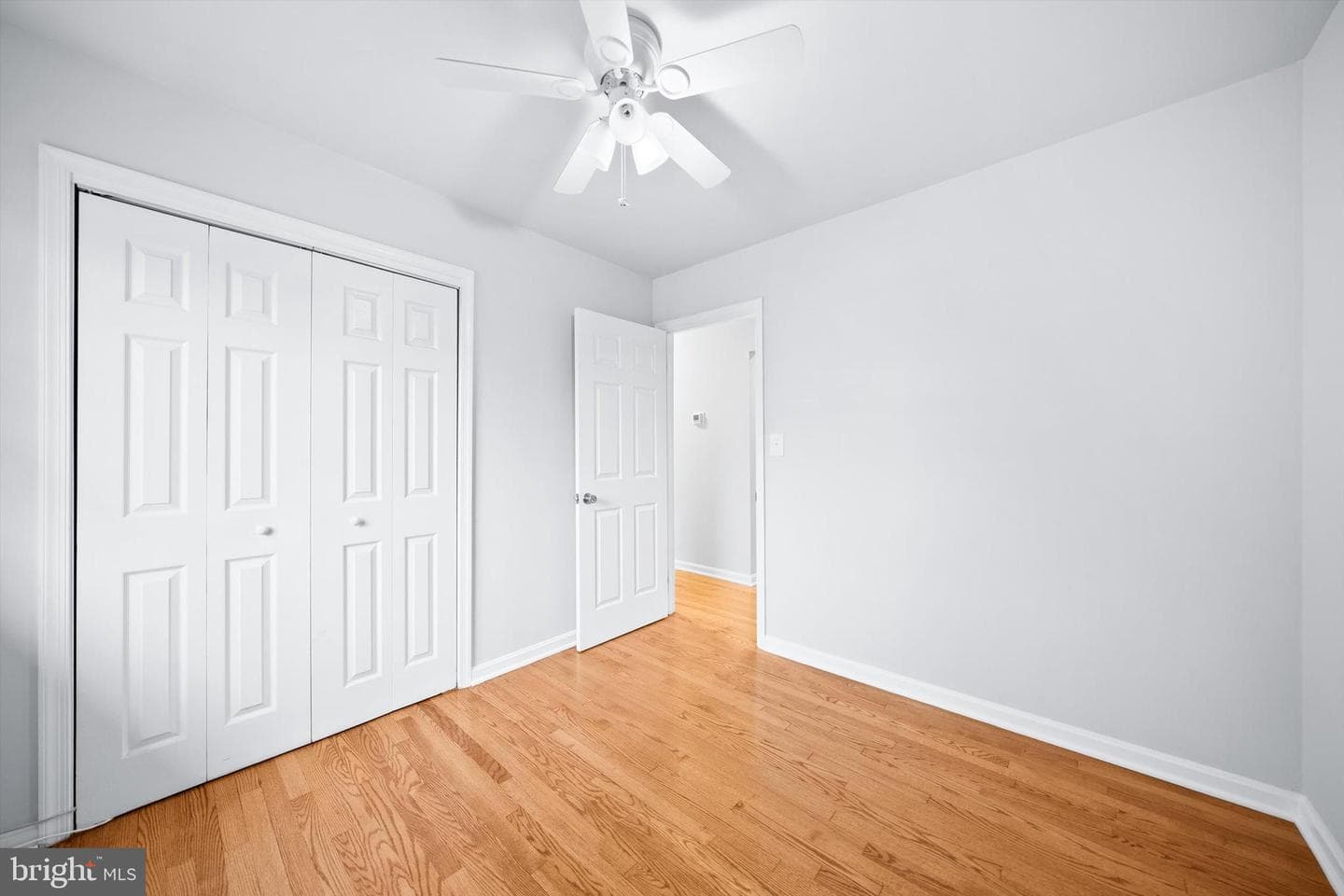 8411 Impalla Drive photo 14