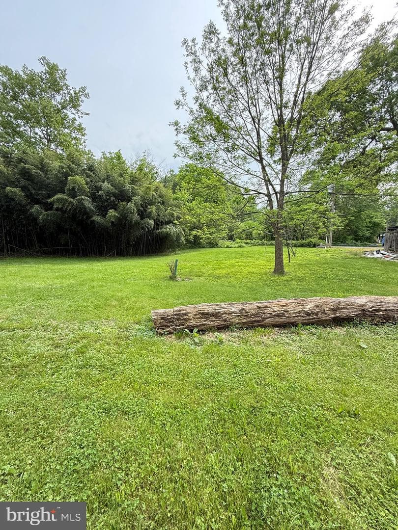 7421 Lake Drive photo 22