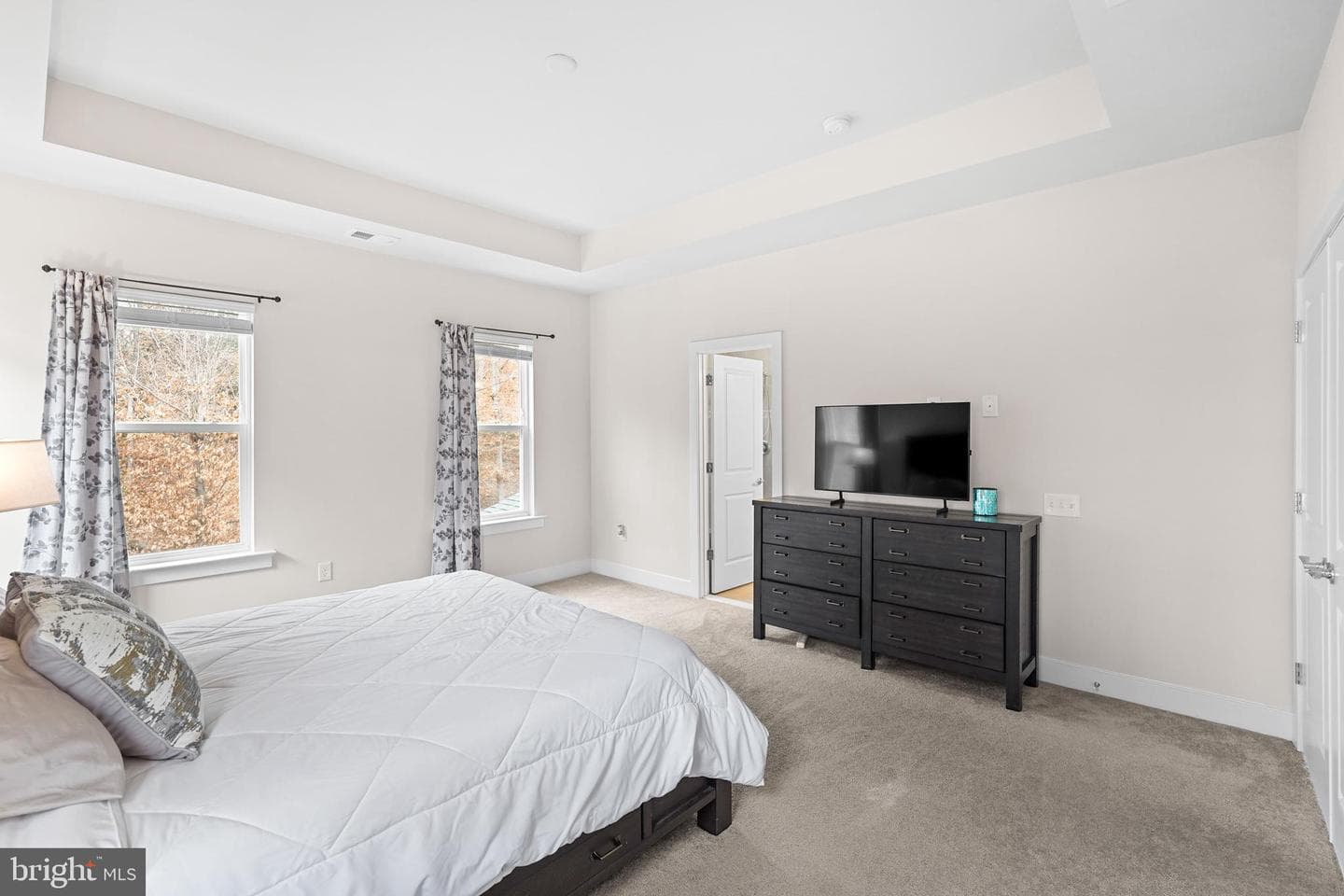 17751 White Campion Way photo 16
