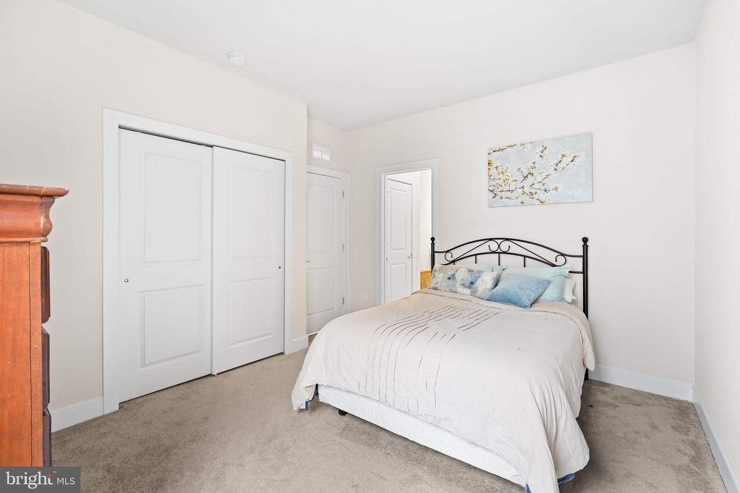 17751 White Campion Way photo 27