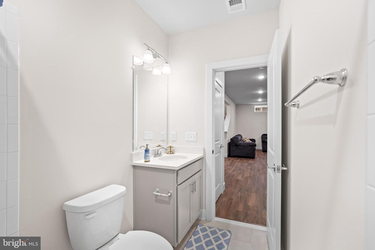 17751 White Campion Way photo 34