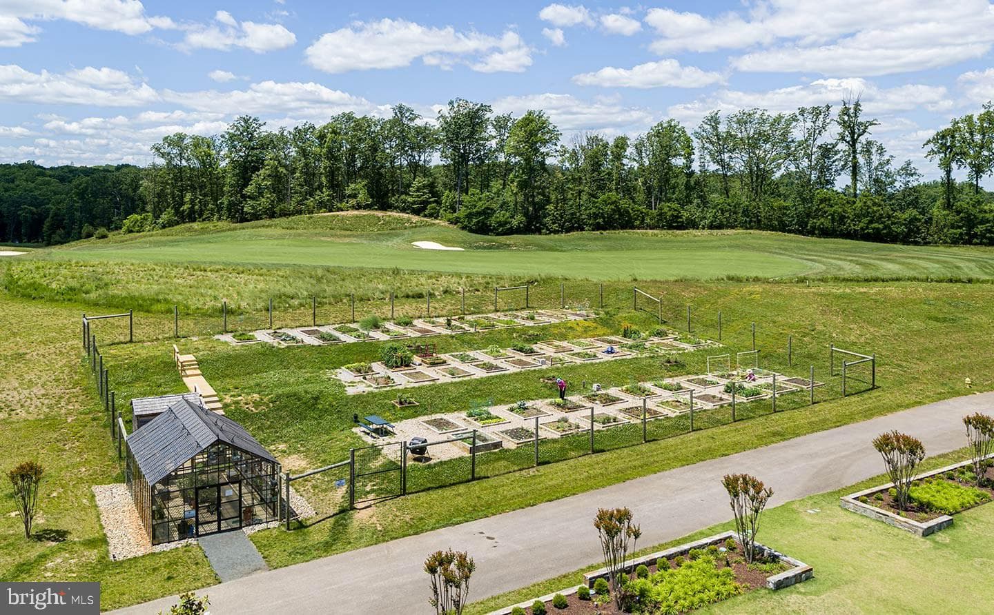 17751 White Campion Way photo 49