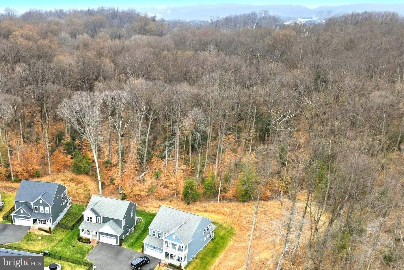 17751 White Campion Way photo 56