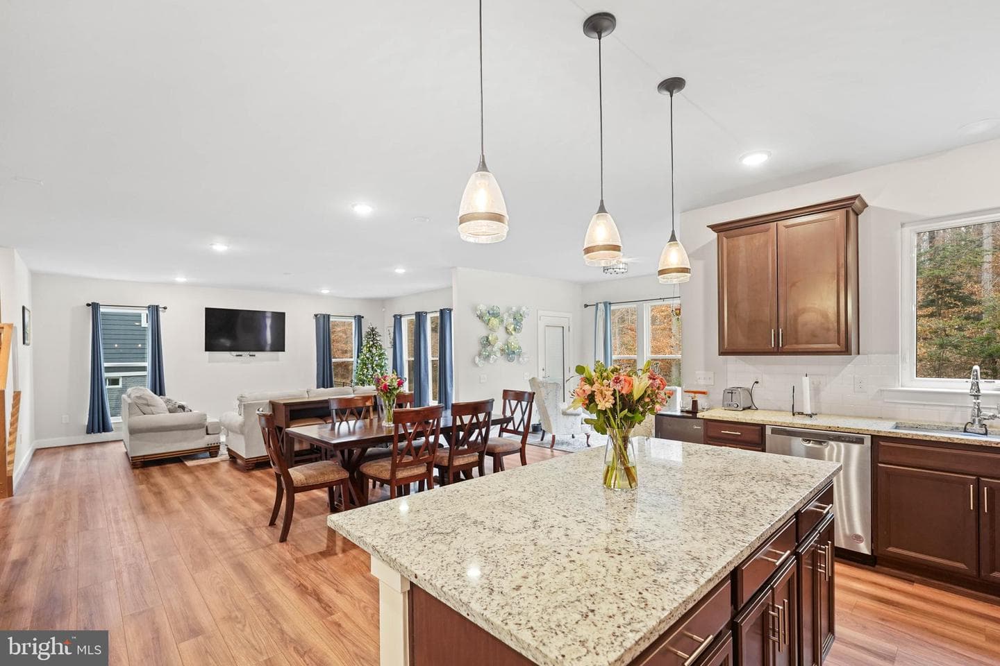 17751 White Campion Way photo 9