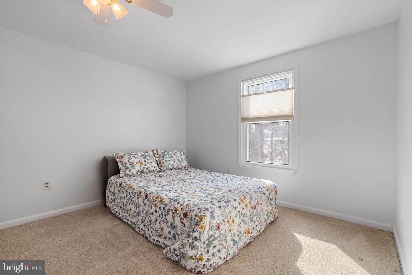 5606 Roundtree Drive photo 17