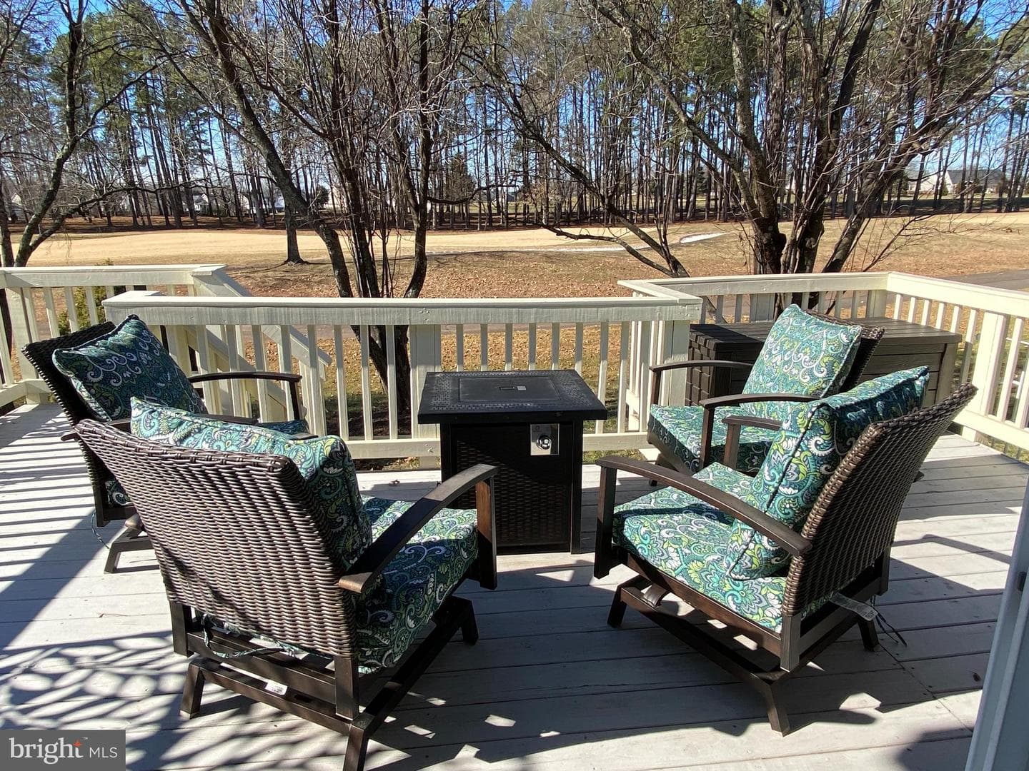 13487 Victory Gallop Way photo 45