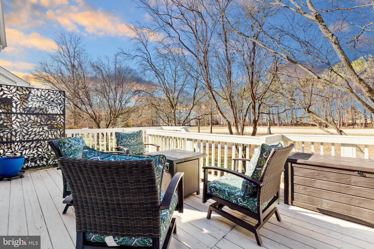 13487 Victory Gallop Way photo 46