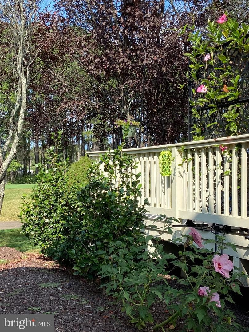 13487 Victory Gallop Way photo 49