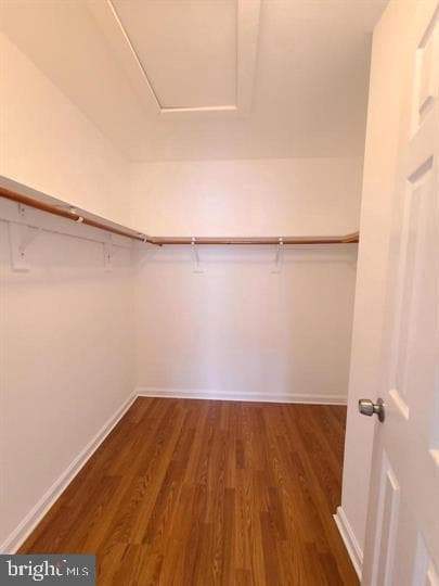 17308 Pacific Rim Terrace photo 24