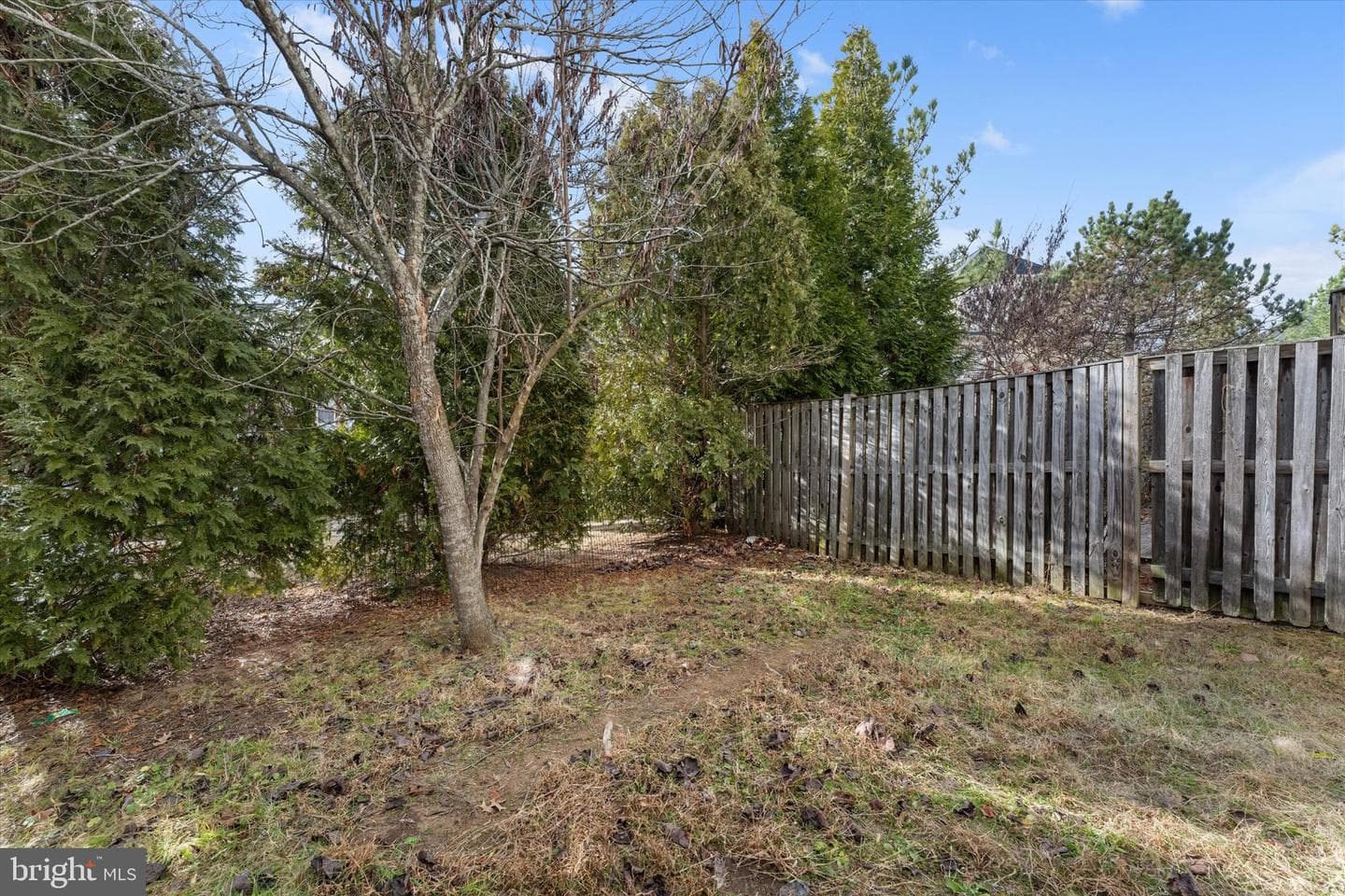 2509 Oak Tree Lane photo 42
