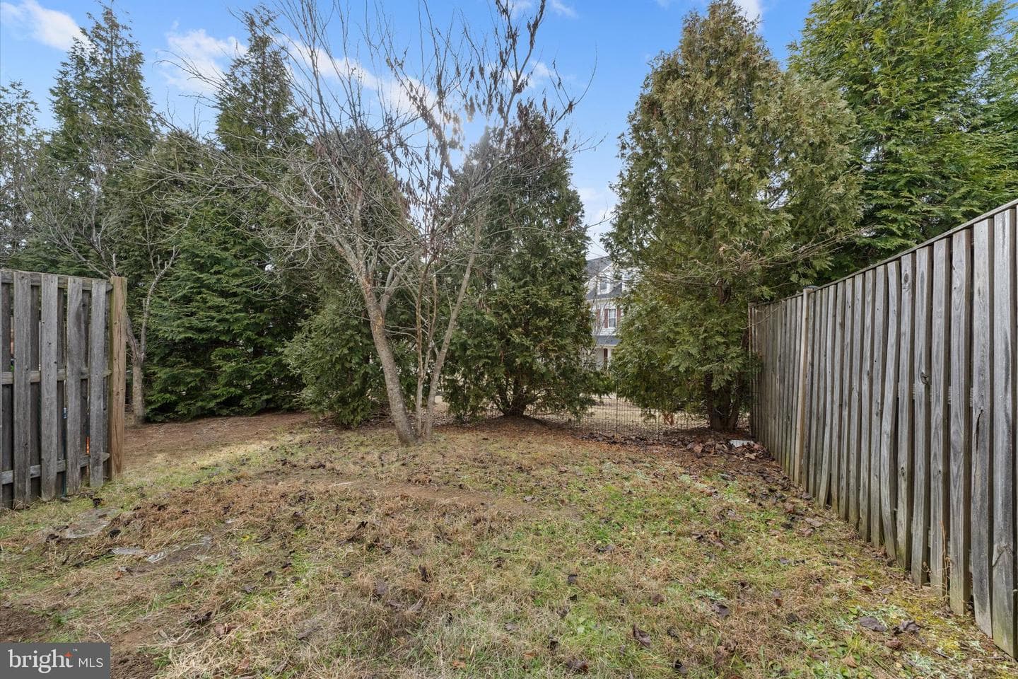 2509 Oak Tree Lane photo 43