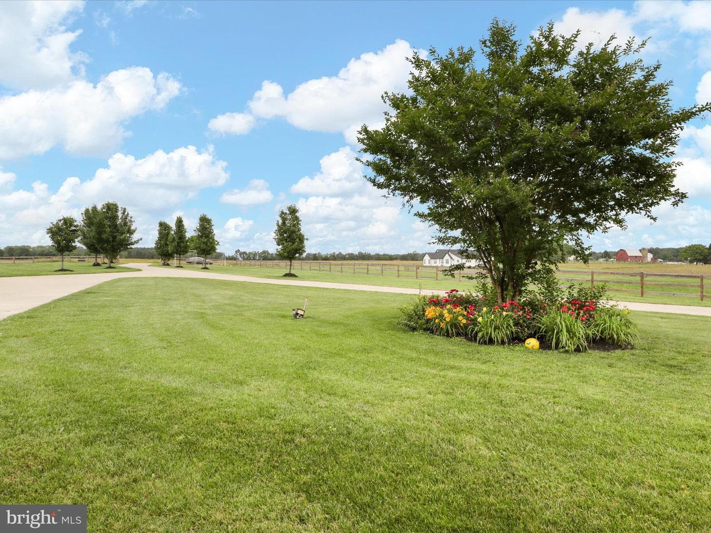 11509 Asbury Ridge Court photo 114