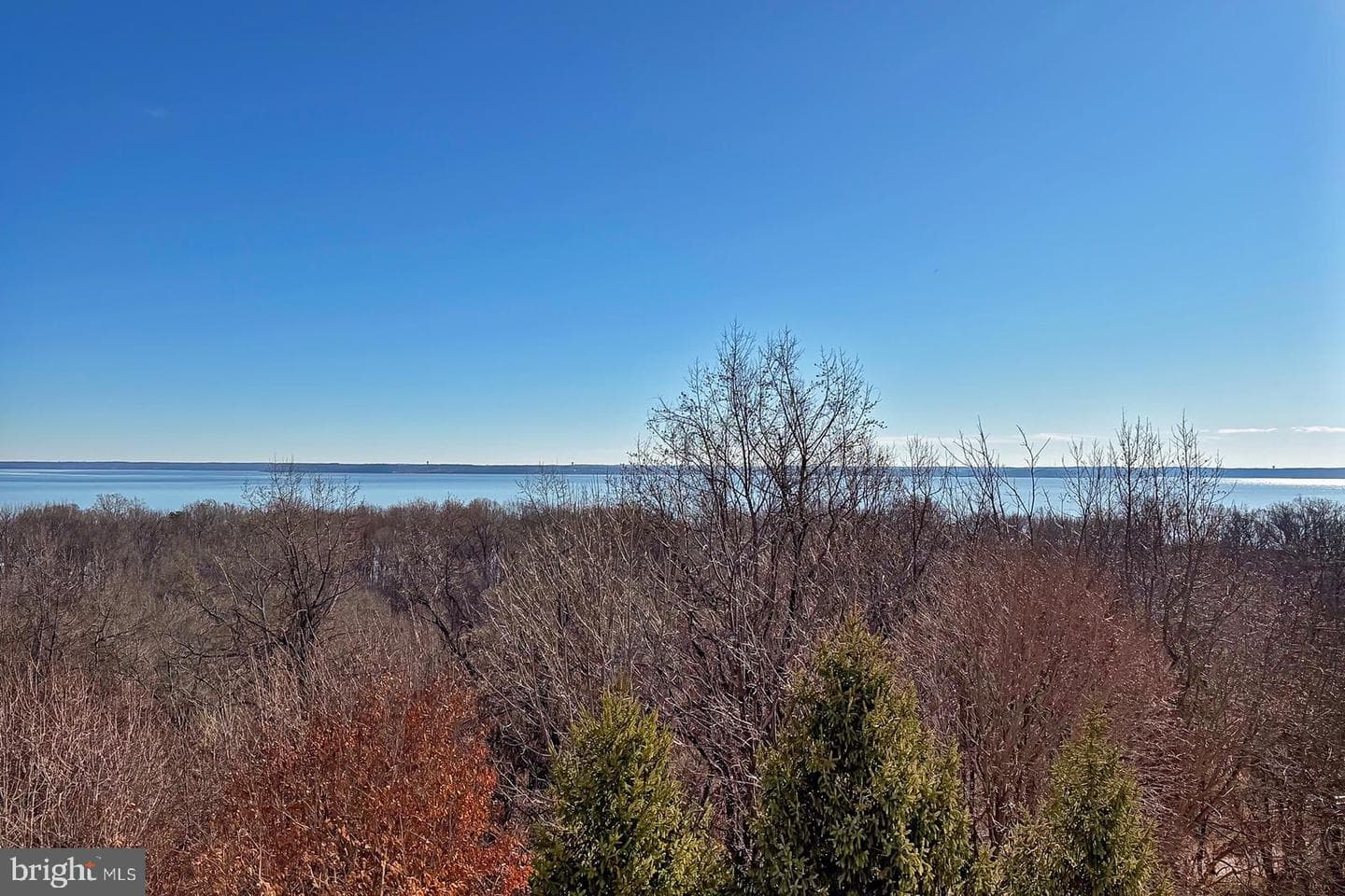 1621 Ladue Court #404 photo 14