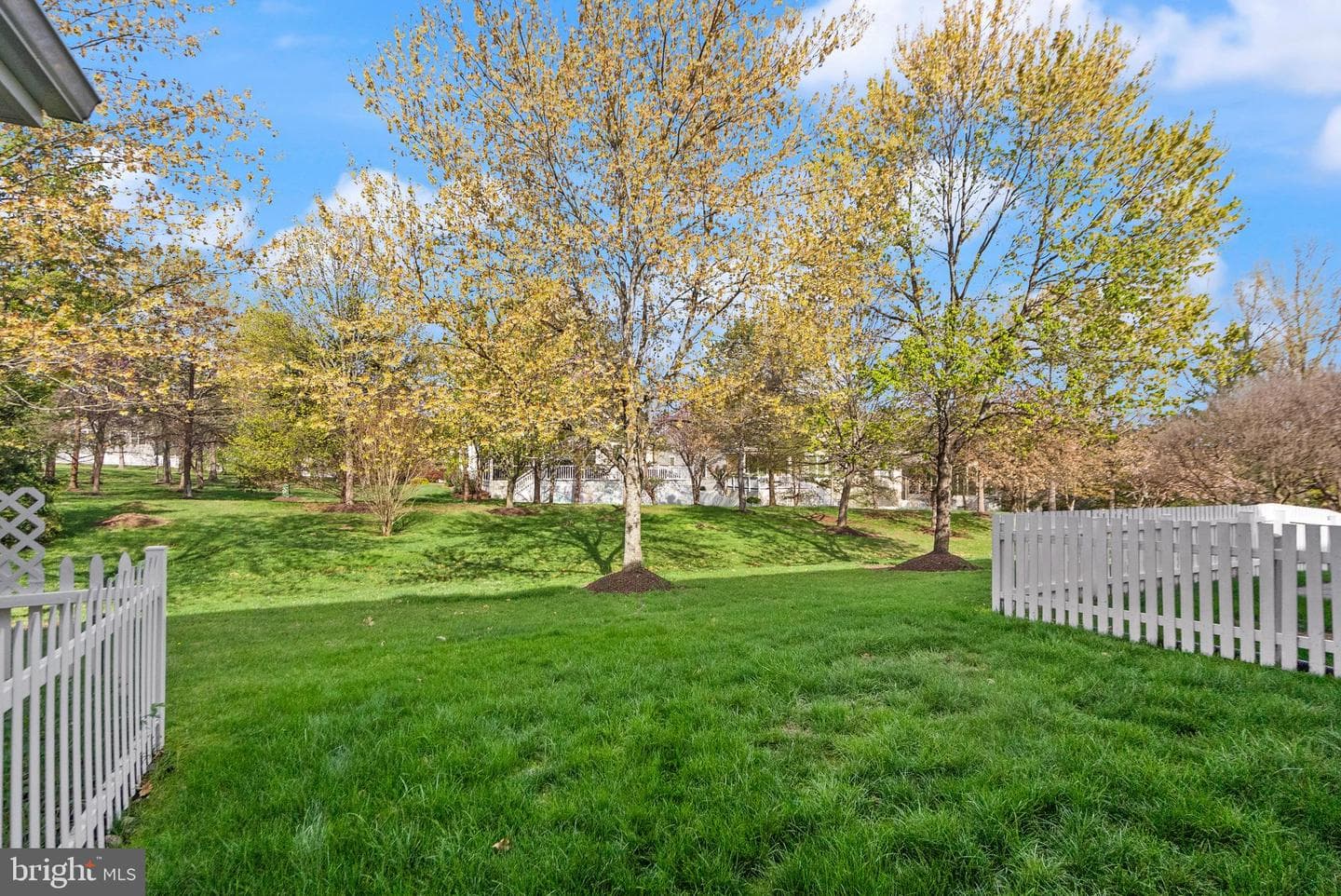 6932 Walnut Hill Drive photo 40