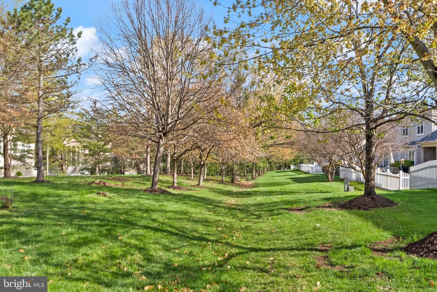 6932 Walnut Hill Drive photo 41