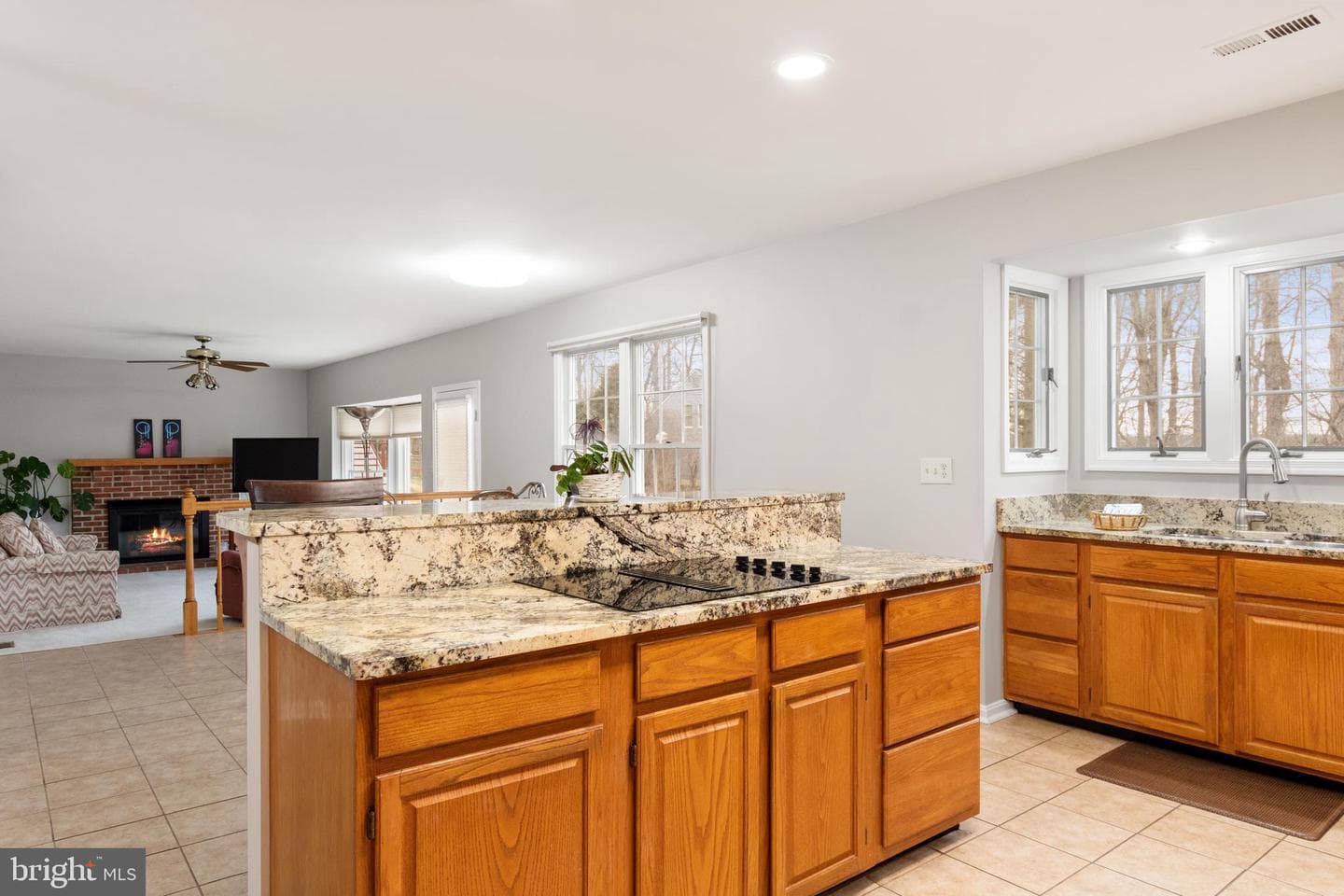 11819 Troika Court photo 15