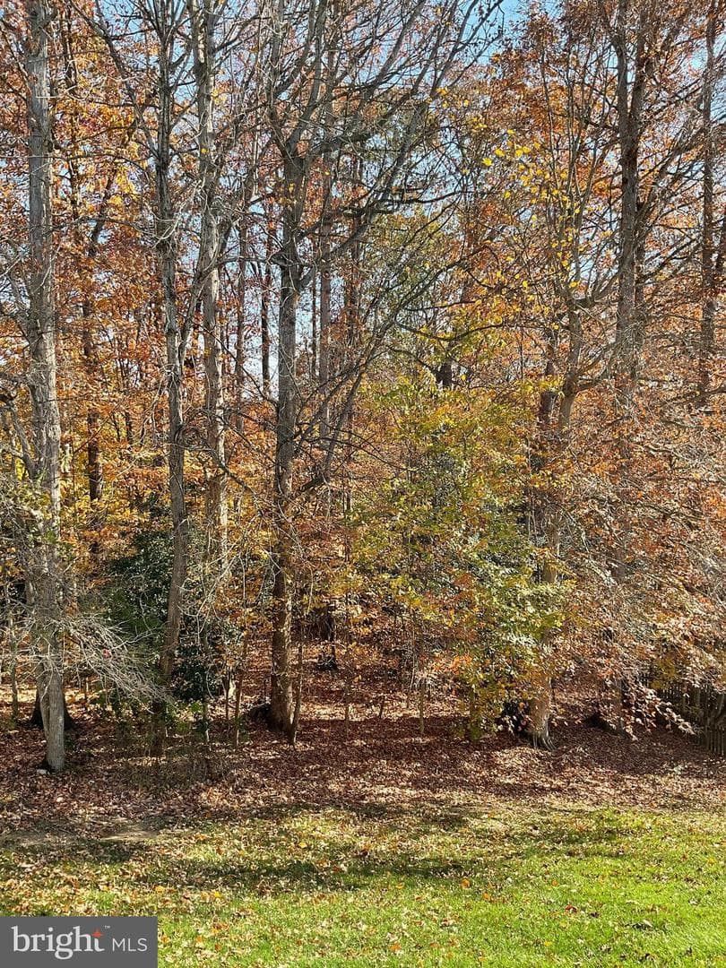 11819 Troika Court photo 32