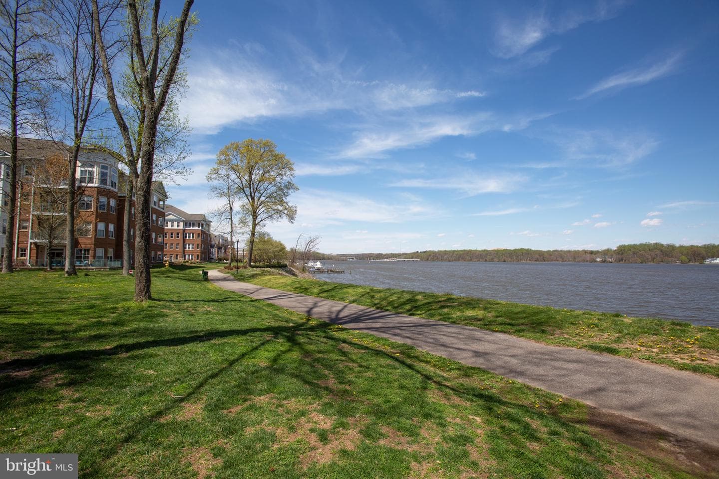 500 Belmont Bay Drive #113 photo 33